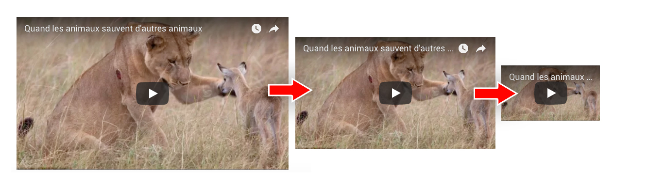 video2.jpg